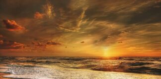 Jakie dania są typowo polskie?