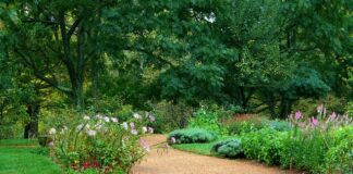 Ile sypać żwirku silikonowego do kuwety?