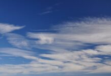 Co to jest klarowny kompot?