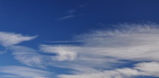 Co to jest klarowny kompot?