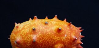 Jak zrobić kompot z jabłek do słoików?