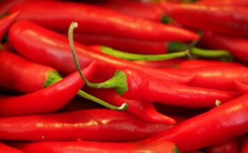 Czy kapsaicyna leczy?