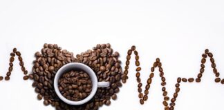 Ile razy dziennie załatwia się mały kot?