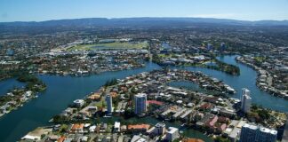 Czy głąb z kalafiora jest jadalny?