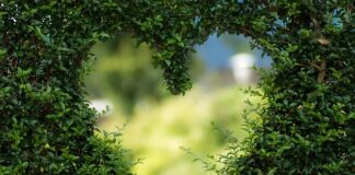 Czego nie wrzucamy do zielonego pojemnika?