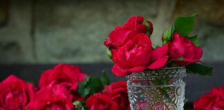 Co się wrzuca do białego pojemnika?