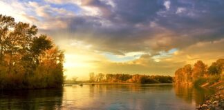 Co oznaczają kolory pojemników na śmieci?