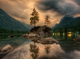 Czym łączyć skały w akwarium?