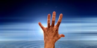 Jak utopić korzeń?