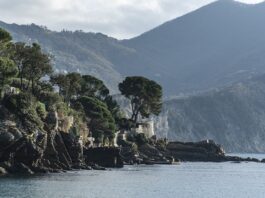 Ile kosztuje 1 godzina gotowania na gazie?