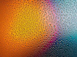 Jak często myć kuwetę kota?