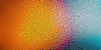 Jak często myć kuwetę kota?