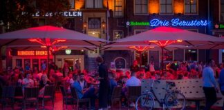 Czy wychodzić z psem w nocy?