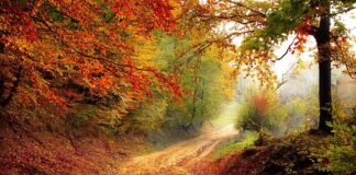 O jakiej porze dnia najlepiej brać probiotyk?