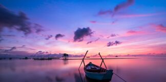 Jakiego koloru są koralowce?