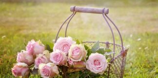 Jak zamknąć kosz na śmieci?