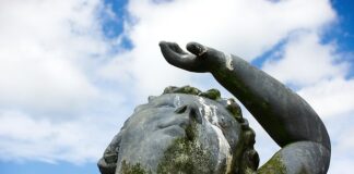 Gdzie wyrzucać odchody z kuwety?