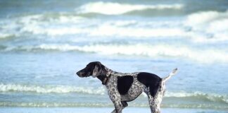 Czy można brać kilka witamin na raz?