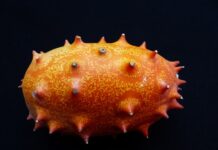 Czy kompot z winogron jest zdrowy?