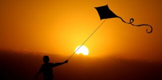 Co rośnie bez korzeni na 7 liter?