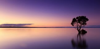 Co zamiast wody destylowanej do żelazka?