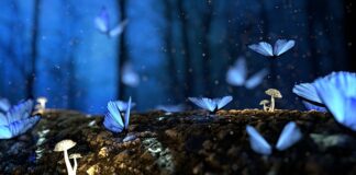 Jakie drewno tonie w wodzie?