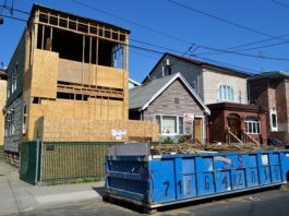 Co posadzić przy śmietniku?