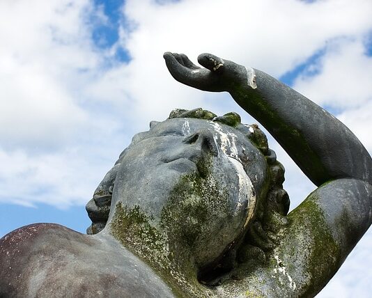 Gdzie wyrzucać odchody kota z kuwety?