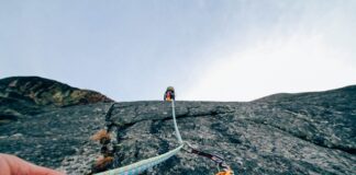 Z której strony powinno się prowadzić psa?