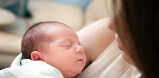 Jaki klej do kamieni w akwarium?