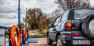 Czy można przewozić psa w bagażniku?