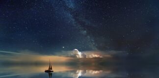 Co zrobić żeby była czysta woda w akwarium?