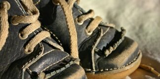 Jak nauczyć kota czego nie wolno?