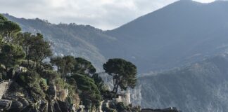 Ile kosztuje kosz 120l?